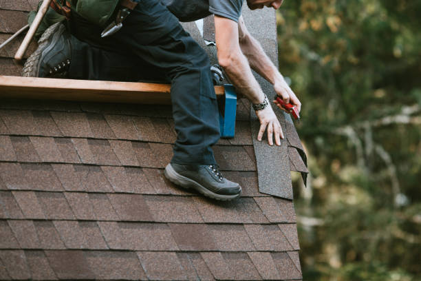 Best Metal Roofing Contractor  in Goleta, CA